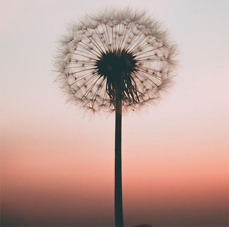 دانلود آهنگ کبوتر زندانی علی آردین